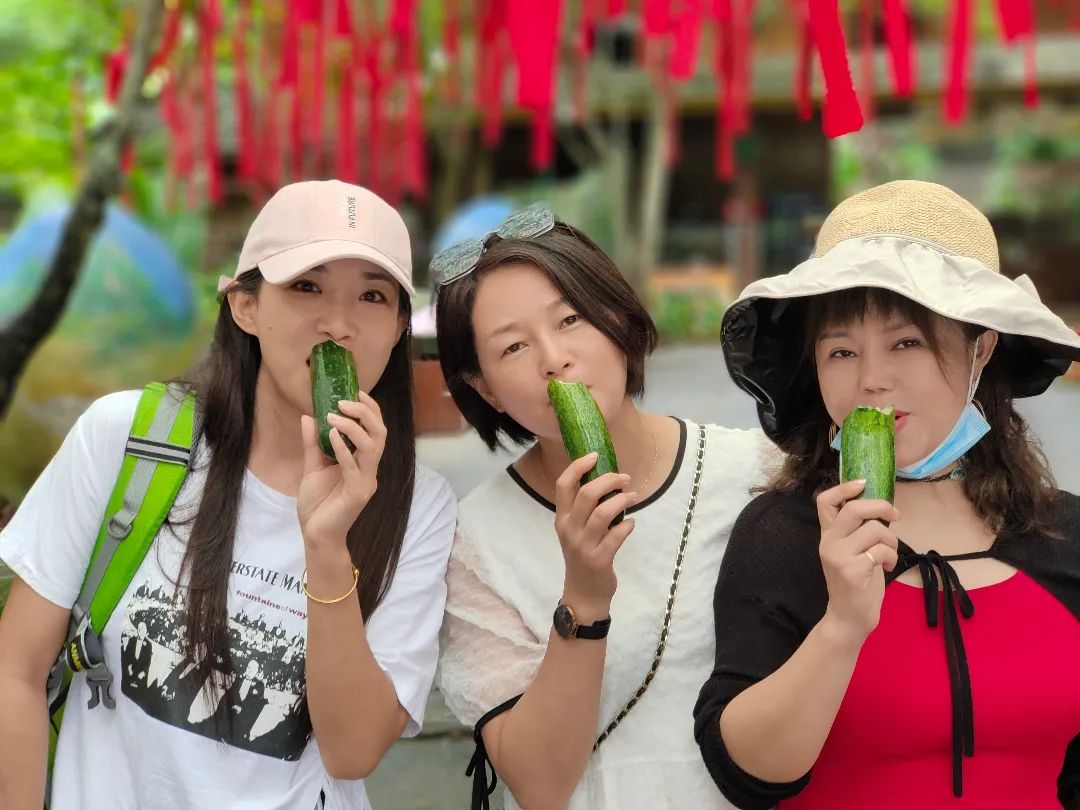 西双版纳七天六夜攻略,西双版纳五天六夜之旅完美结束