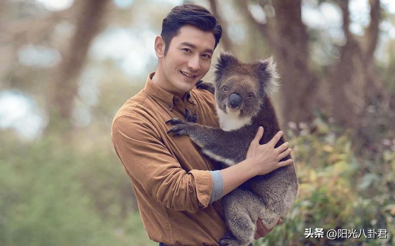 黄晓明被曝新恋情,黄晓明新恋情疑曝光