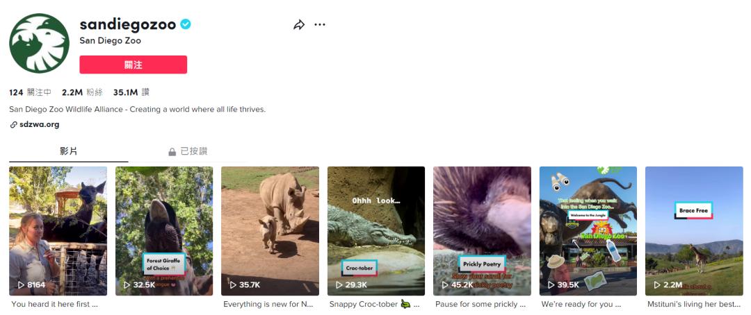 tiktok流量运营知识,做tiktok怎么运营有流量