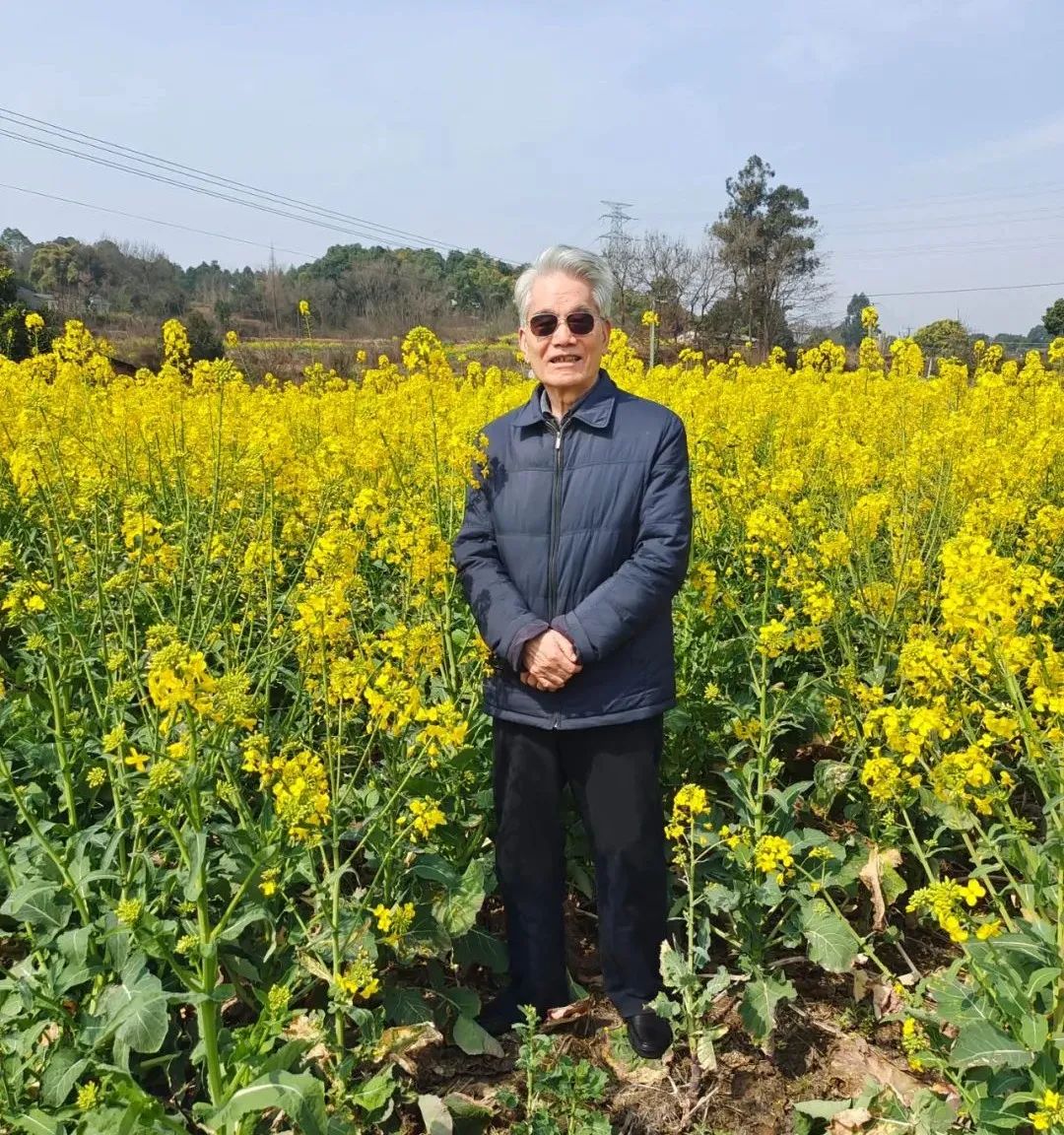 屈全绳作品,屈全绳散文集