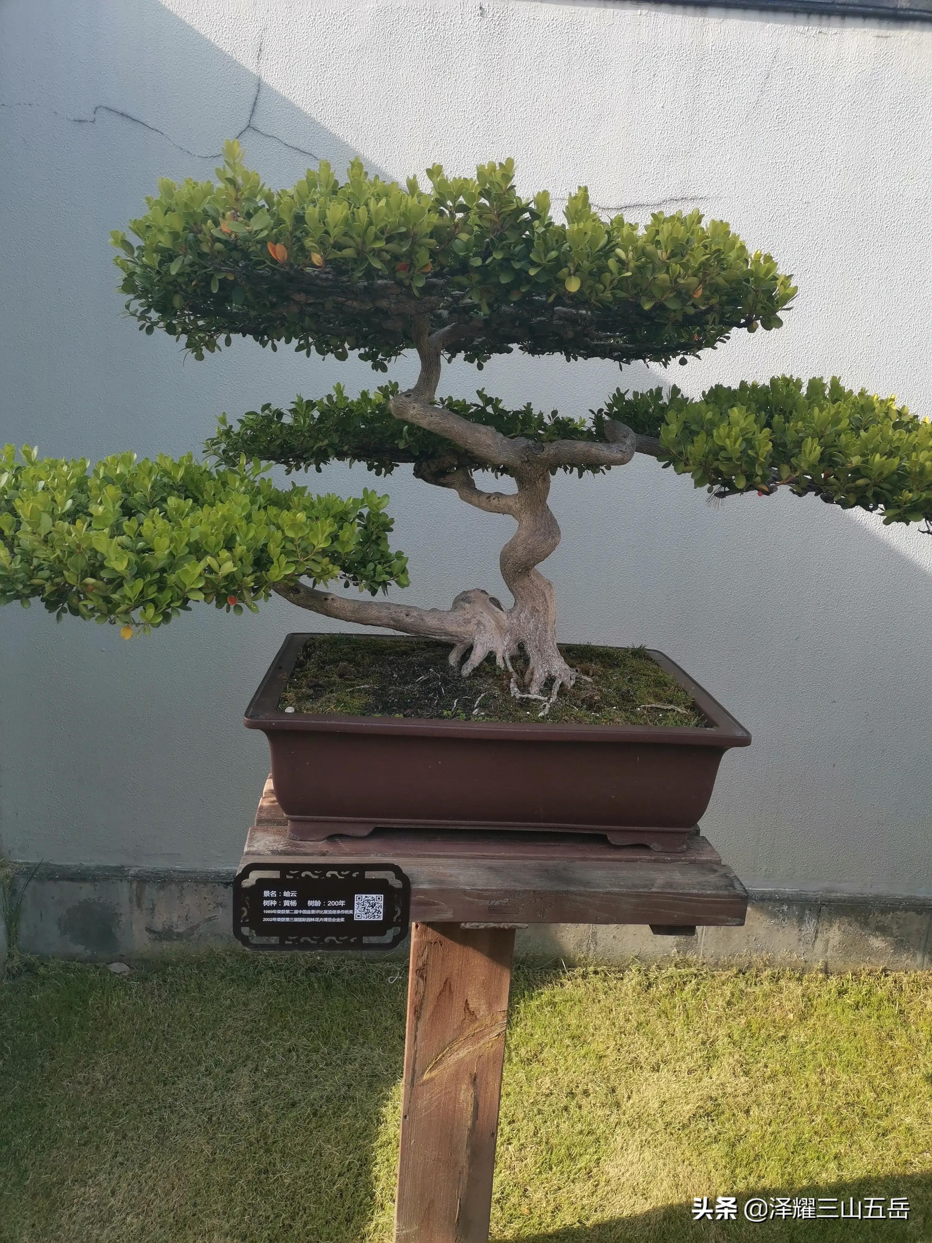 瘦西湖和西湖哪个更值得去,瘦西湖收费吗