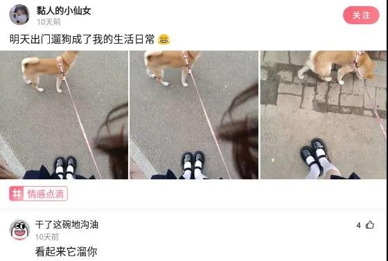 买了一个蚊帐先让室友试试,新买的蚊帐让室友先试试