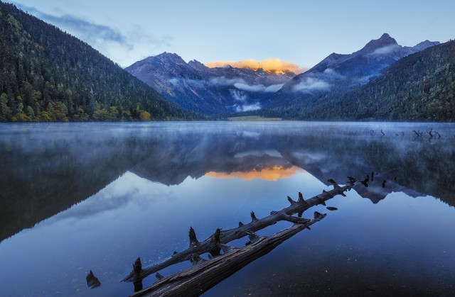 2024浙江高考首考英语词汇,高考英语真题熟词生义归纳