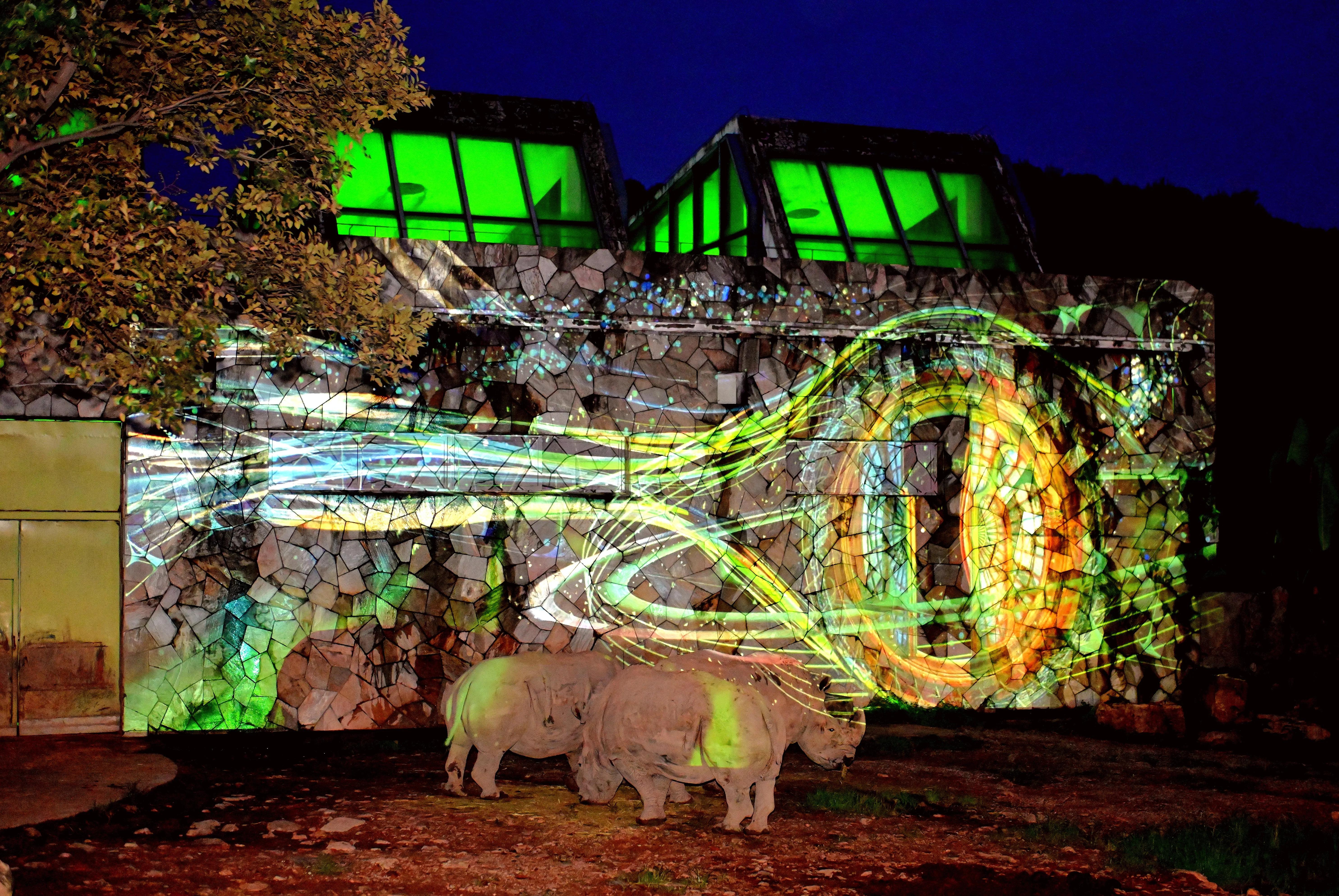 无锡动物园夜公园游玩攻略,无锡动物园攻略