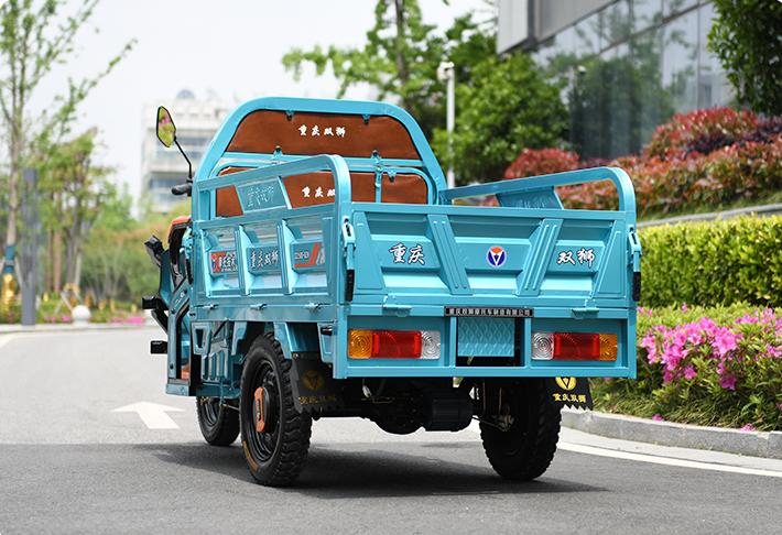 可上牌最大的电动三轮车,十大最好用的合法电动三轮车