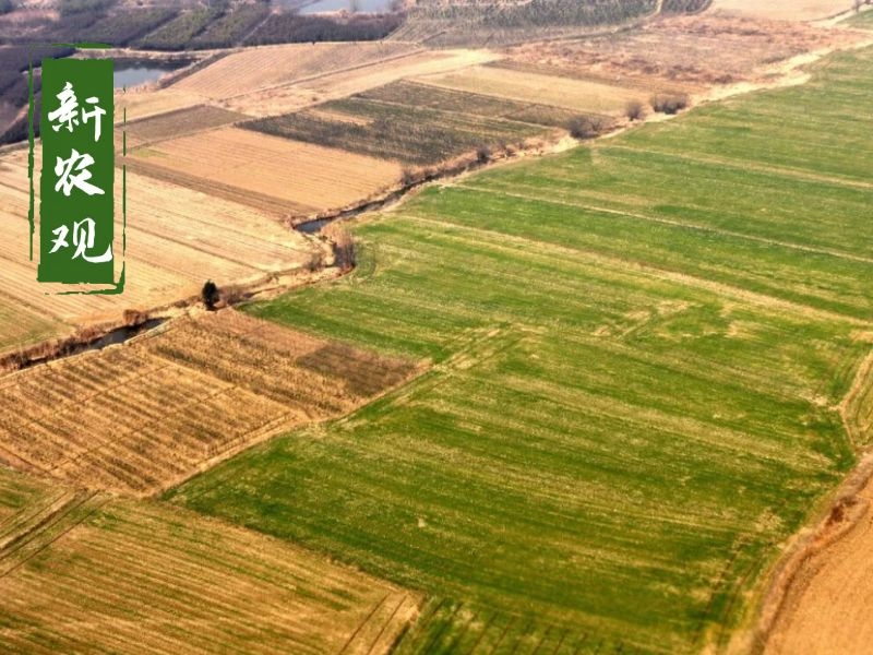 全家迁入设区的市承包地如何处理,迁户口后耕地怎么处理