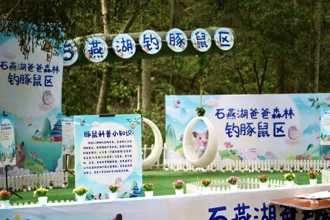 国庆去长沙玩的旅游攻略,国庆假期还能去哪玩长沙