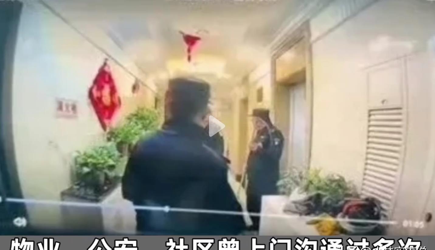 追寻犬神泰山麦兜，市中心探秘异域巴顿！