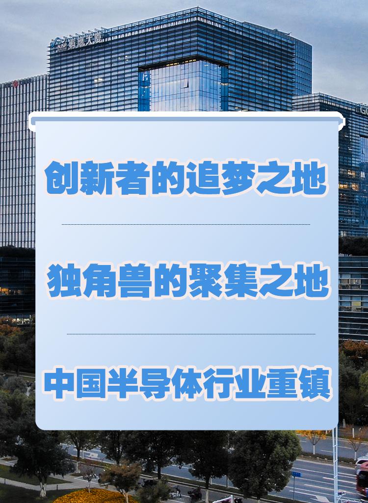 中国集成电路产业资本,资本看好的芯片公司