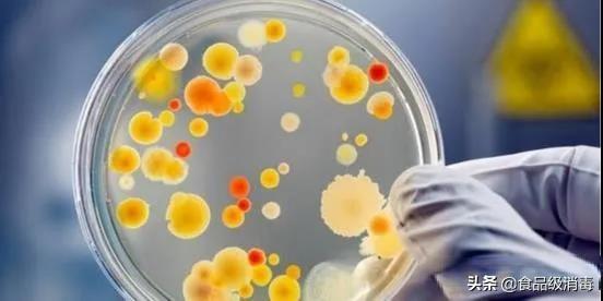 食品厂细菌检测流程,食品菌落总数超标的解决办法