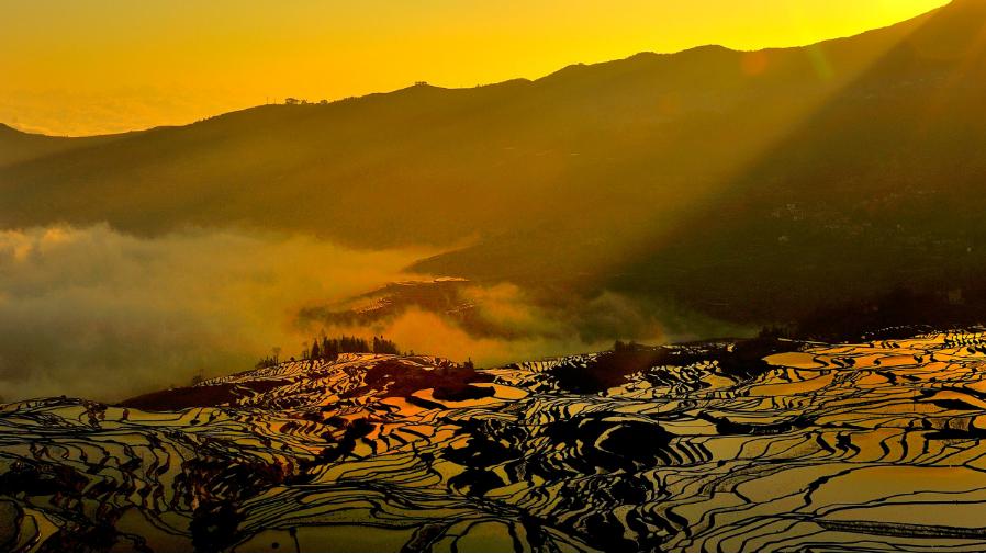 云南冬天和夏天都可以旅居的城市,冬季云南哪些地方暖和适合旅游