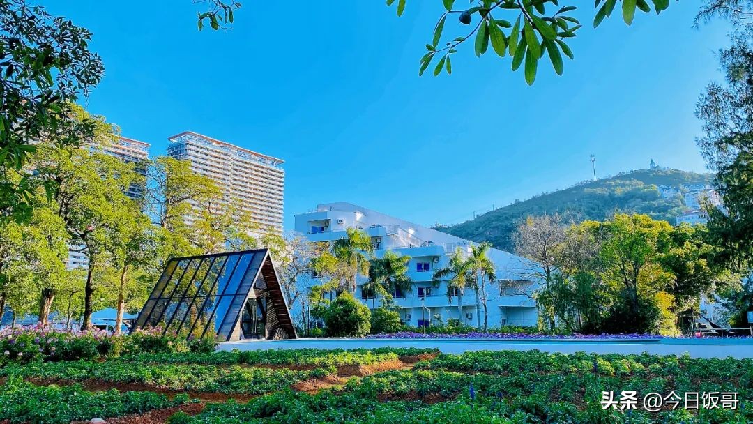 深圳海边五一亲子游赶海推荐,清明海边深圳攻略