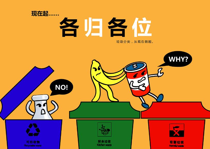 生活垃圾也能变废为宝？快来学习这些分类回收的神奇技巧！