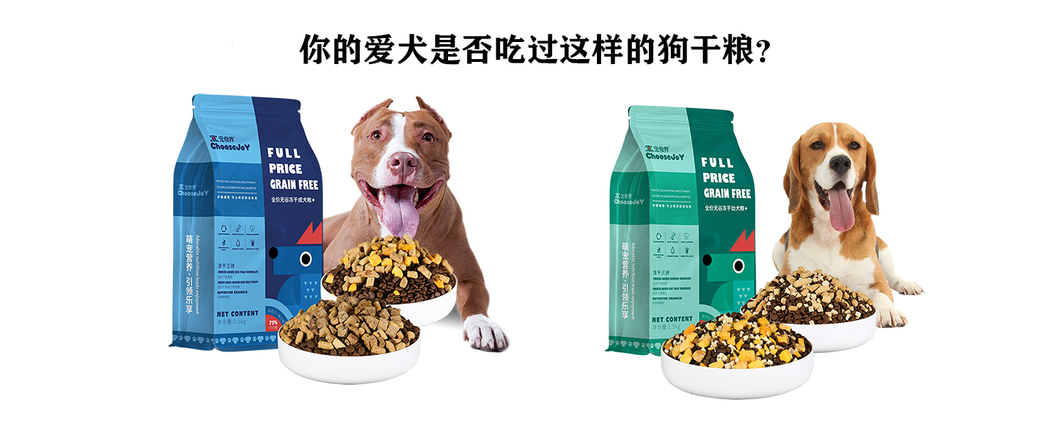 金毛不吃狗粮可以当土狗养吗,金毛不吃东西怎么办吃什么药