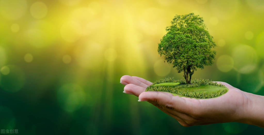 虎年说虎论老虎的起源与变迁,虎的甲骨文突出了什么