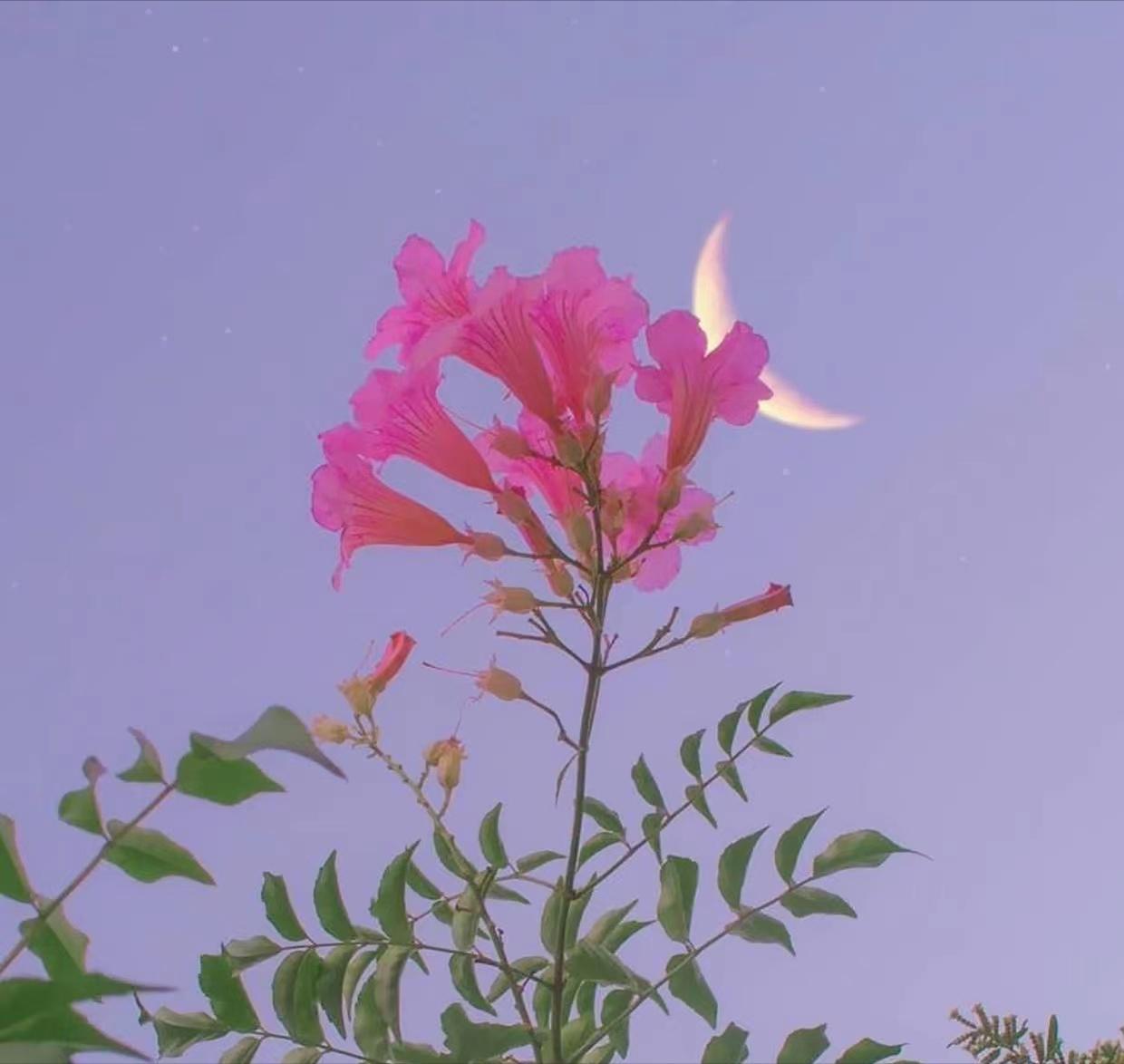 断联后男人多久会忍不住联系你,断联后男人开始思念你