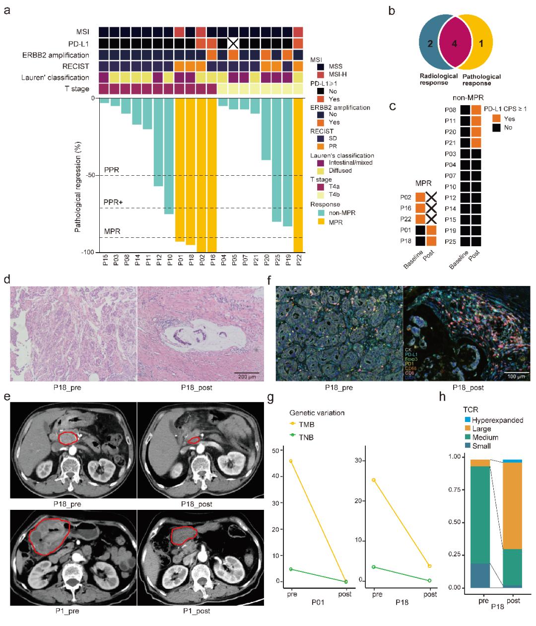 山东大学学术研究部,山东大学的学术成就