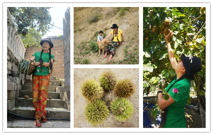 六盘水19度夏天,19度的夏天六盘水