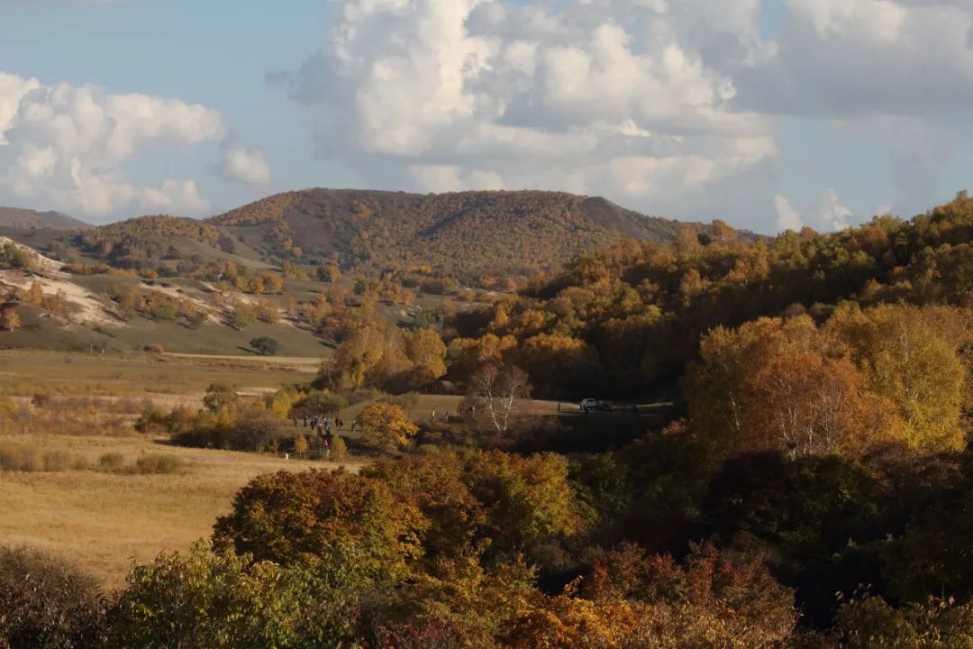 对钱需要斤斤计较吗,越长大对钱越计较