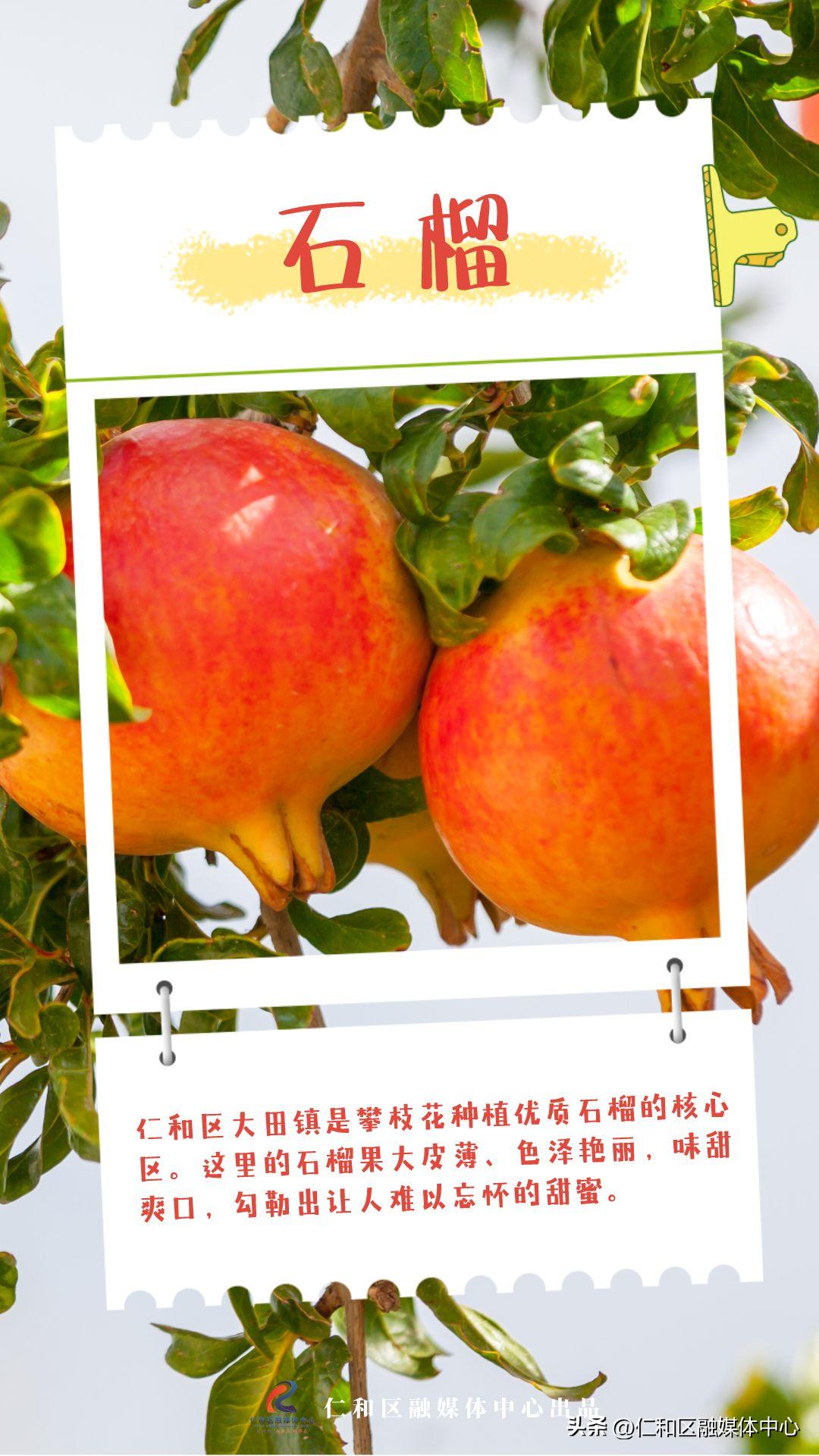 超甜的热带水果有哪些,好看好吃又不常见的水果