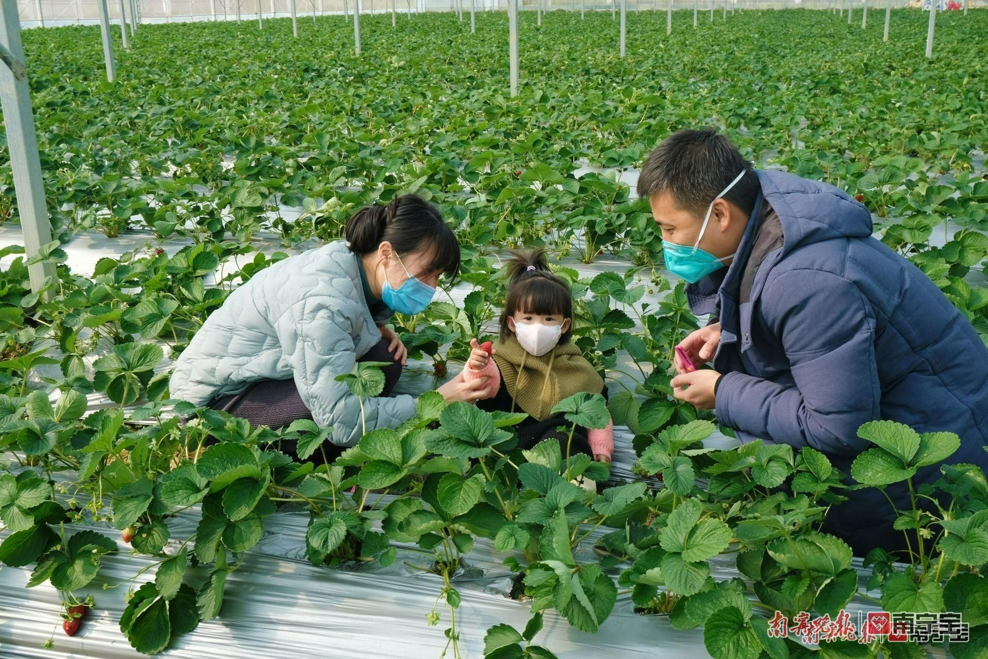 冬游广西优惠,南宁春冬旅游半价