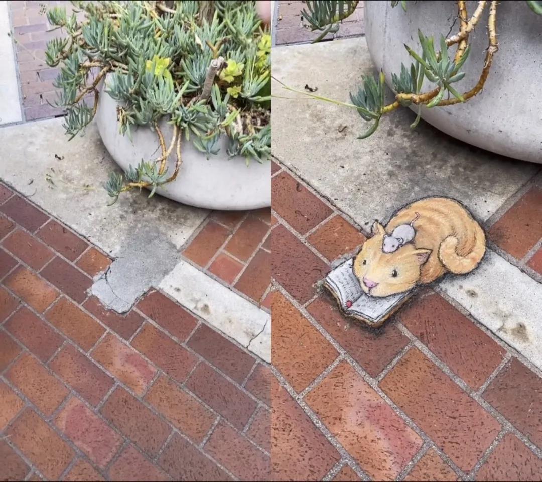 看完这7组照片你还说自己老了吗,看完这40张图后我决定好好生活