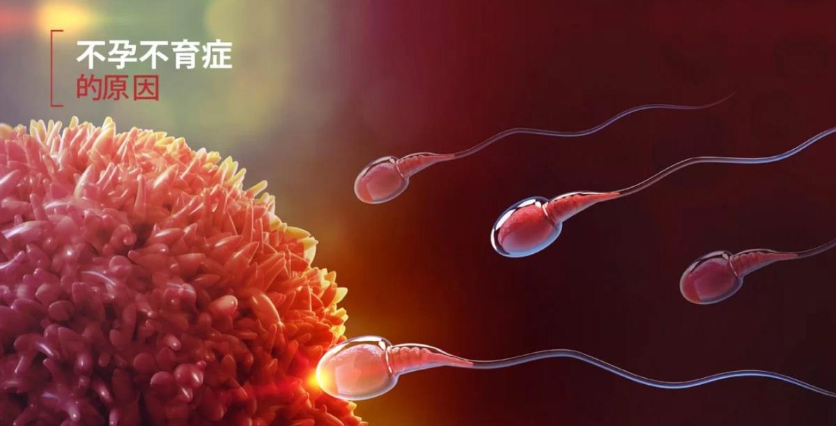 不孕症的中医治疗,山东省中医治疗不孕症名医