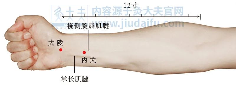 谷雨养生秘诀大全,谷雨前后每日养生小知识