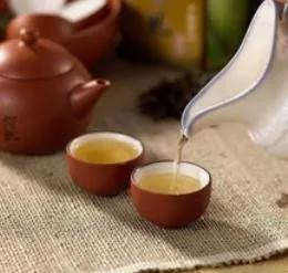 凤凰窝茶的特点,凤凰茶怎么做成型