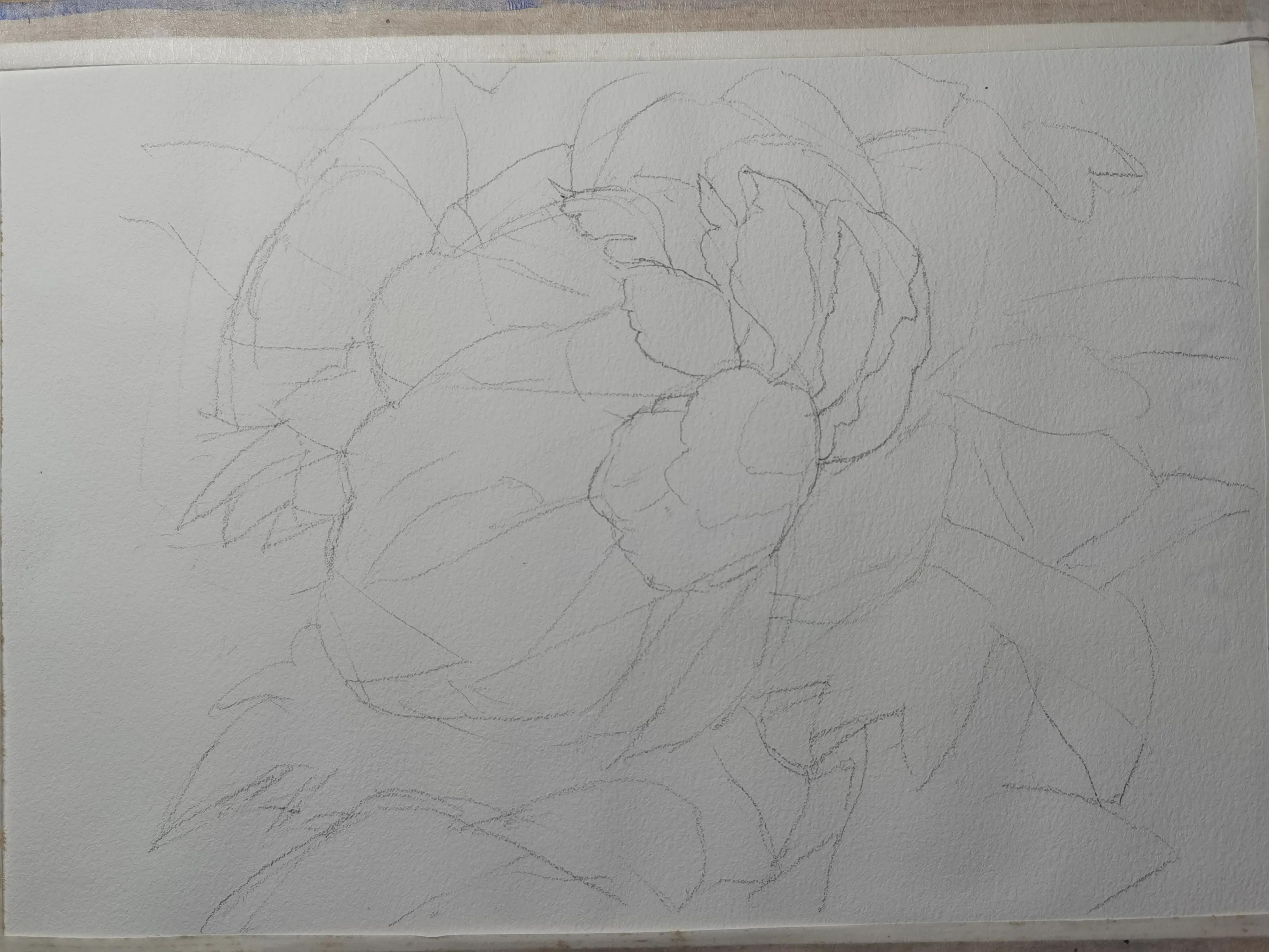 画怎样准确造型,画侧面的两种方法