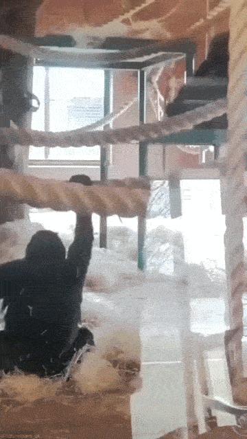 公公给我儿子看病图片,公公陪儿子输液哭了