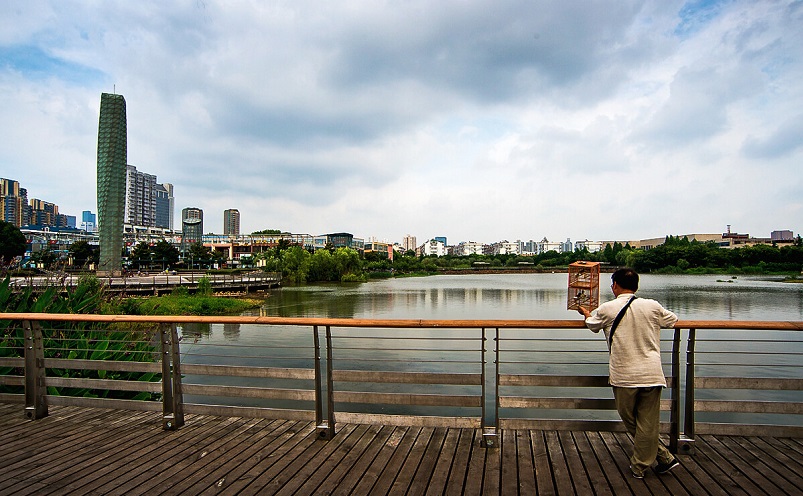 12月南京有哪些免费景点,南京市民免费旅游景点