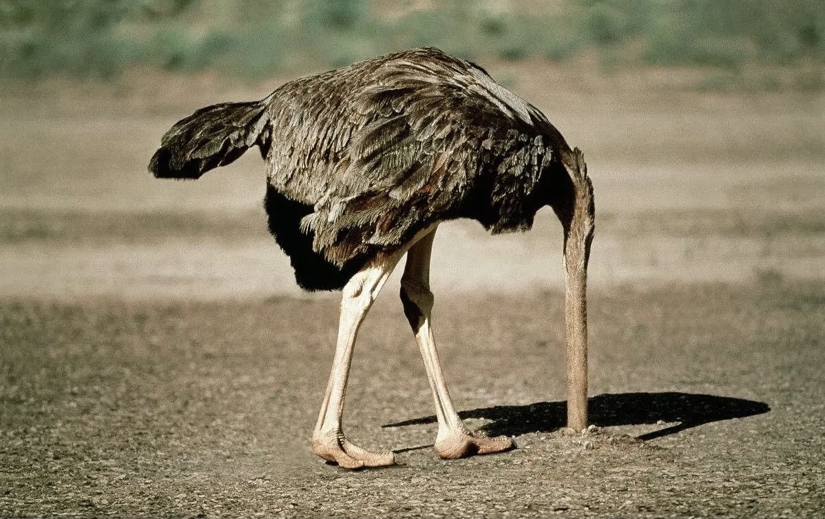 查出钙化就是癌症前兆,查出肝部钙化灶是什么意思