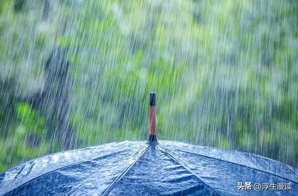 梅花易数后天八卦起卦工具,邵雍梅花易数预测实例