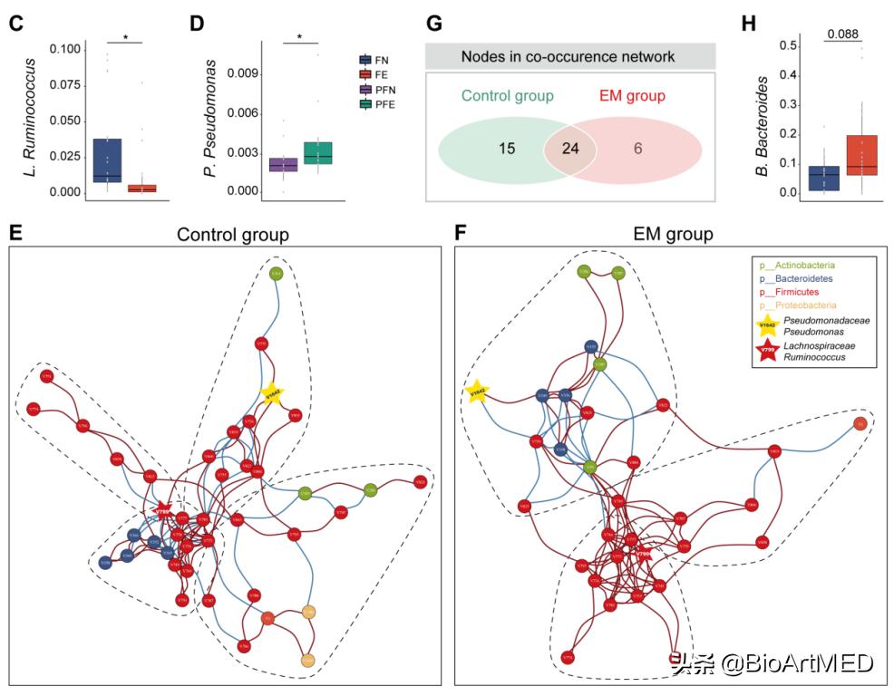 菌群异常会导致子宫内膜异位症吗,肠型子宫内膜异位症