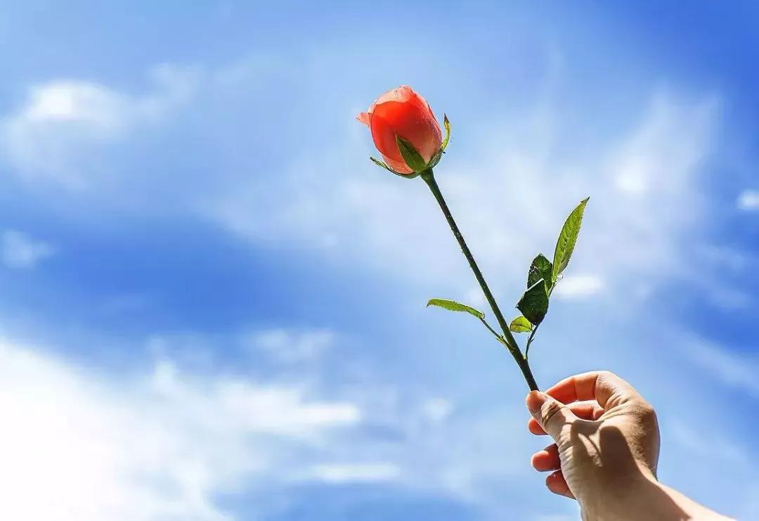 #生命中的一切,你我相遇是缘分的谱曲,今生相遇更是爱的歌河#