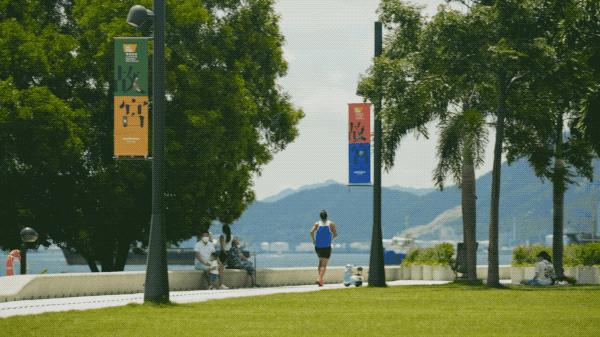 香港故宫是哪一年建好的,香港故宫是怎么诞生的