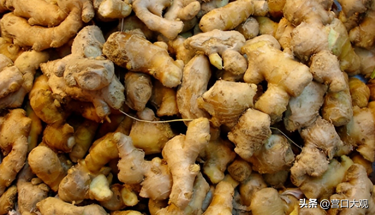 盖州年货直播,土特产直播带货开原市