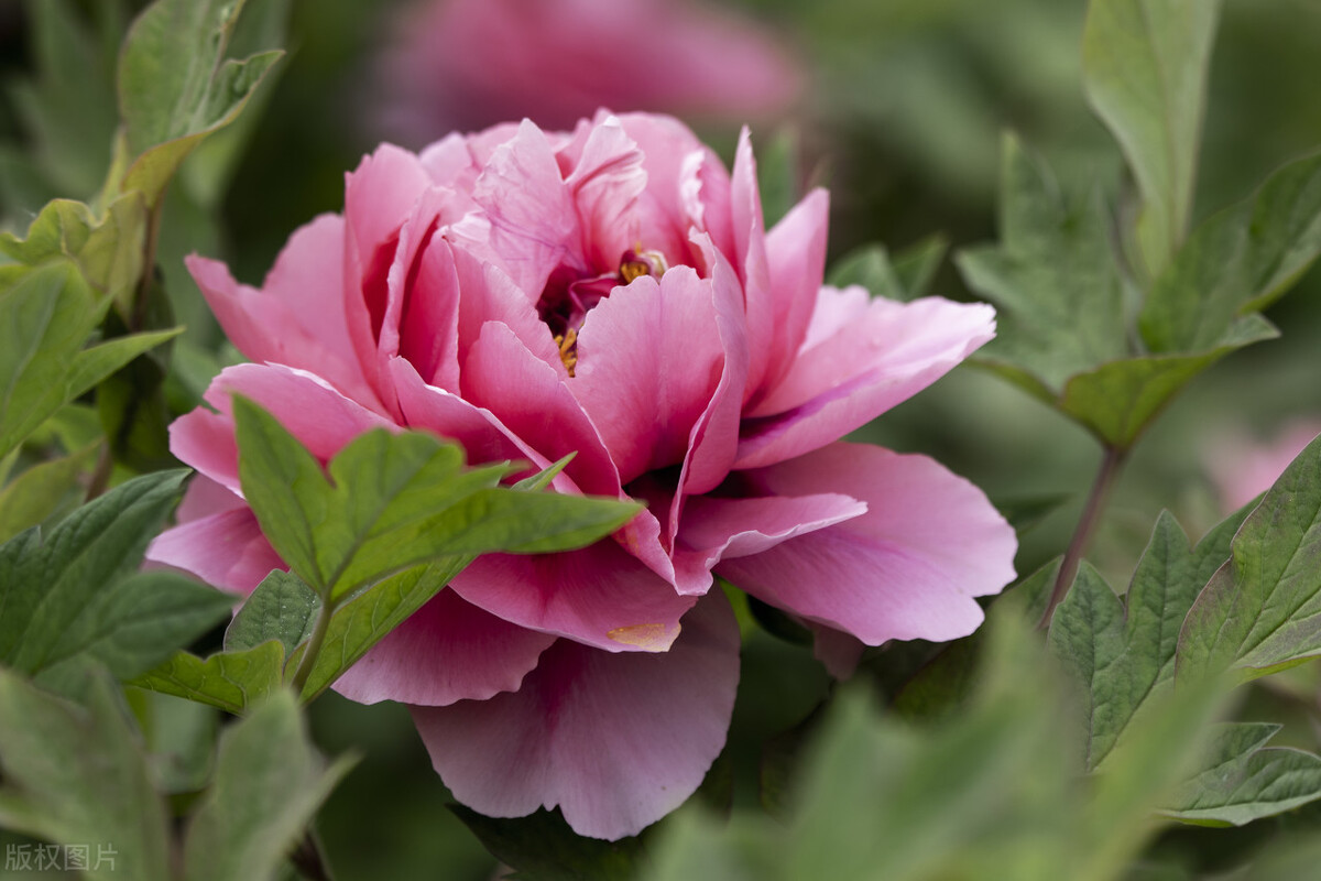 俗语“三甲背上背,不贵也能富”,何解?老辈人的话到底准不准?