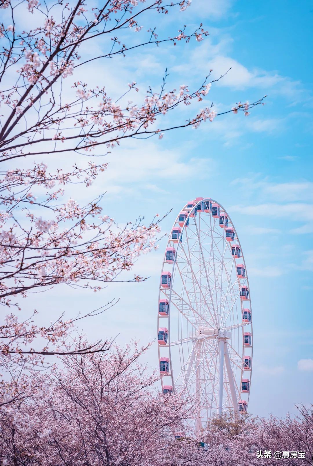 上海公园免费,上海免费公园排行