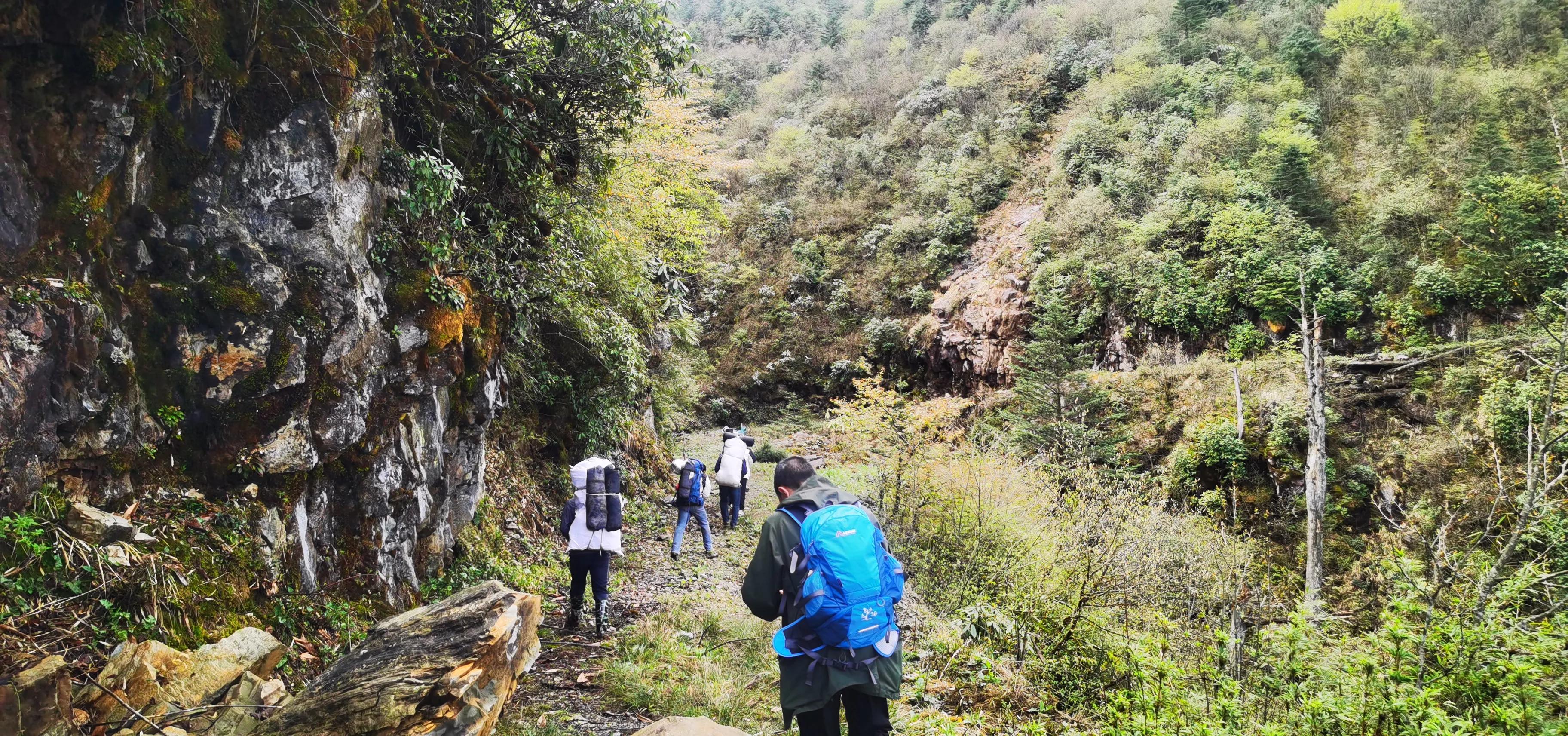 中国百慕大黑竹沟了解一下,中国百慕大黑竹沟近期气温