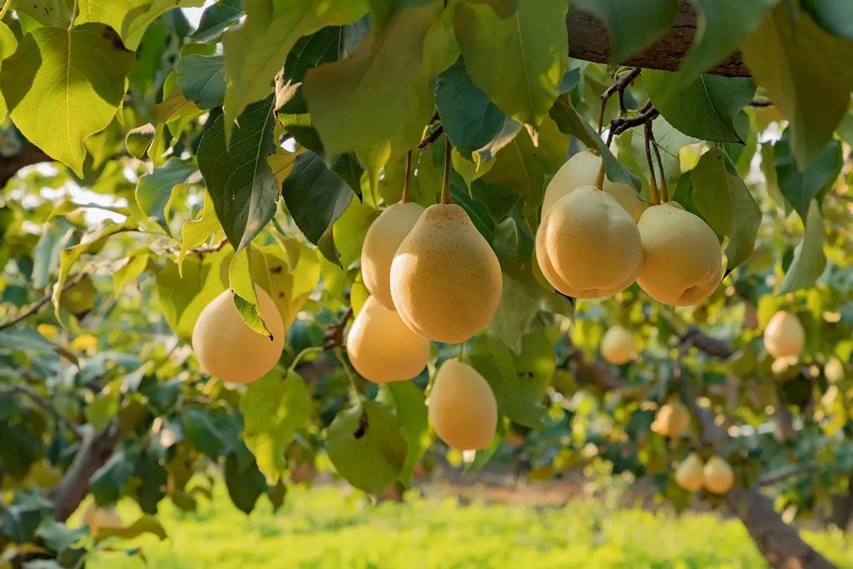 东西七不送的视频,东西七不送什么意思