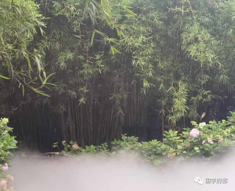 世说新语名言感悟,世说新语经典语录免费阅读