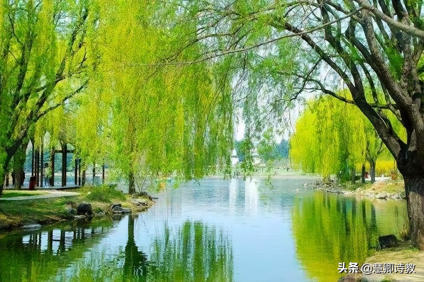 满分作文我的植物朋友三年级,满分作文我的植物朋友300字