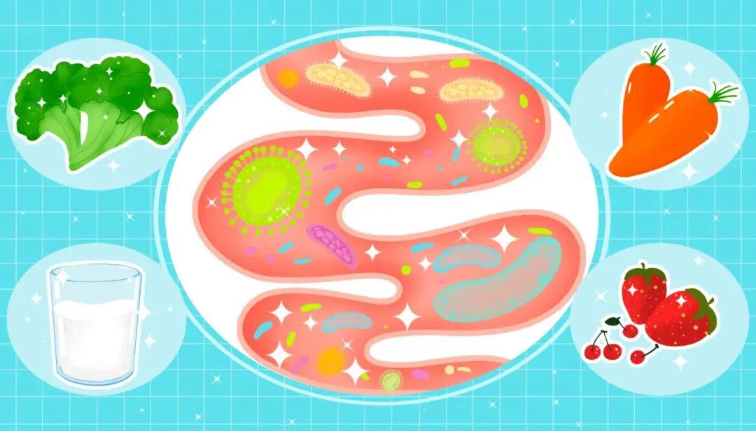 糖尿病服用益生菌有效果吗,二型糖尿病吃益生菌能降糖吗