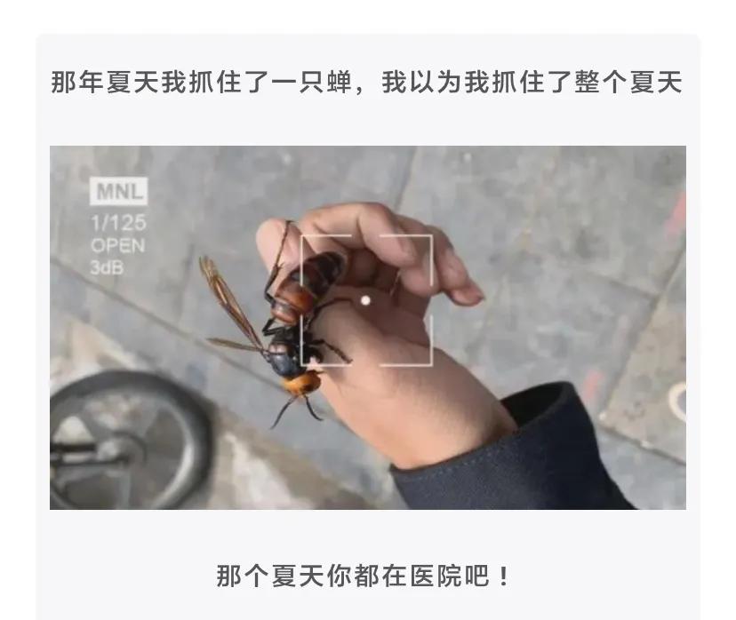 为什么吃了布洛芬更疼了,布洛芬是怎么知道我们身体哪里疼