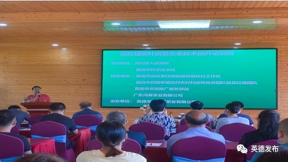 英红镇最新项目,英红镇的发展