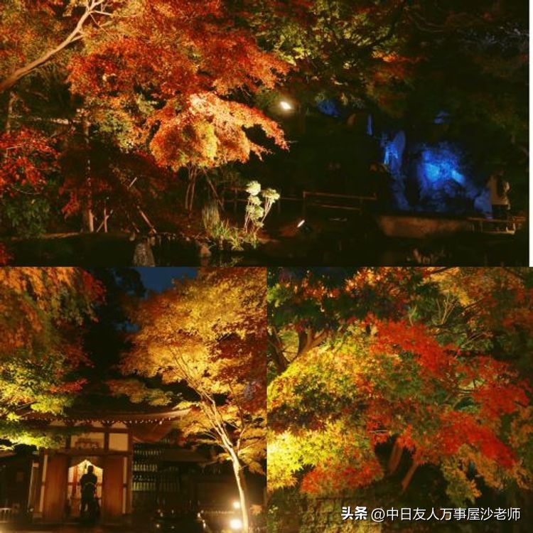 镰仓旅游拍照攻略大全图,横滨航拍全景