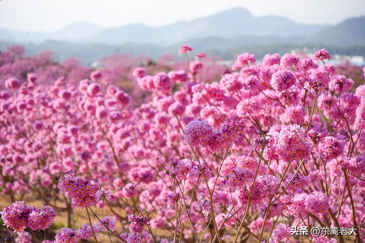 60岁大妈存钱妙招,40-60岁中年人银行存钱