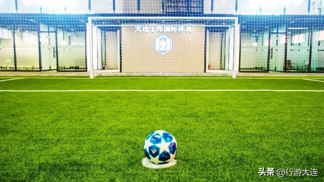 大连体育中心足球场专业足球场,世界杯足球场比赛场地